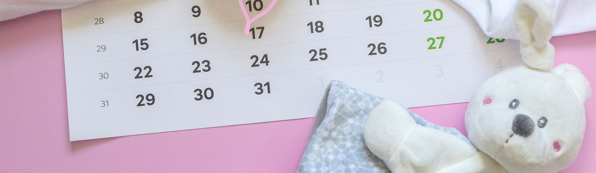 Pregnancy Weekly Calendar